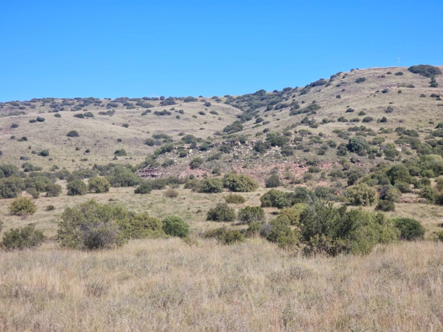 4 Bedroom Property for Sale in Dewetsdorp Free State
